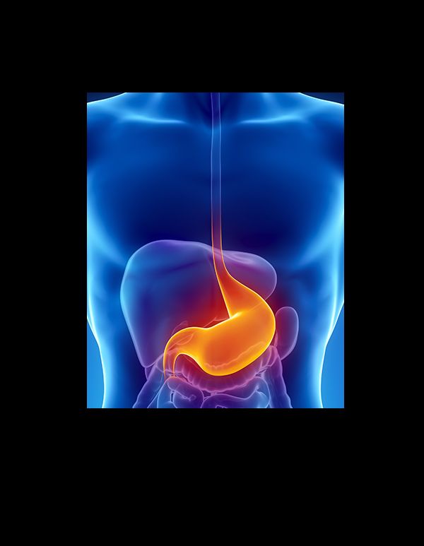 Stefano Rocchietto-1