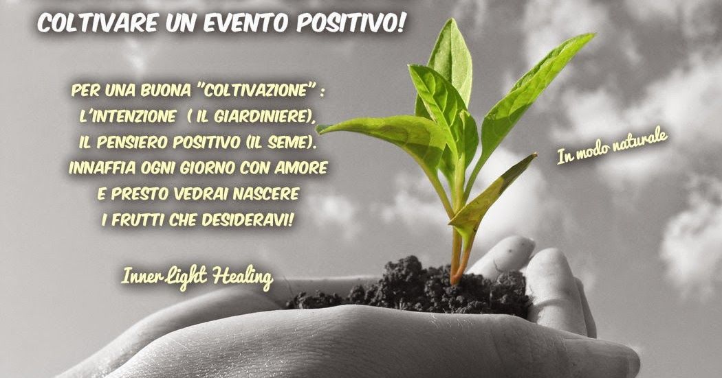 Francesco Sonzogni-49