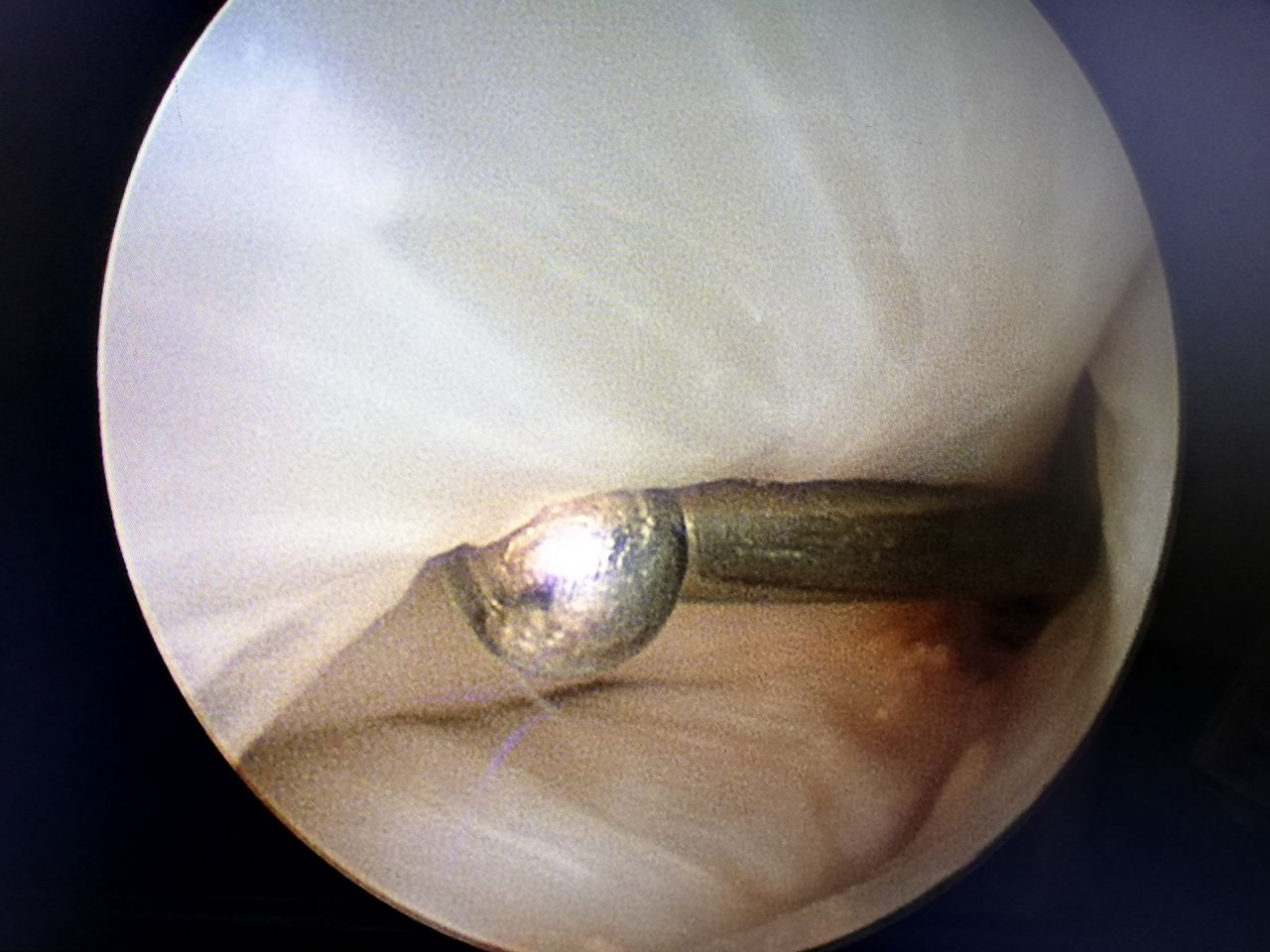 Riccardo Chiavegatti-3