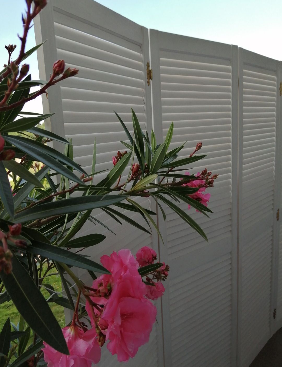 Grażyna Wolińska-Maciąg-2