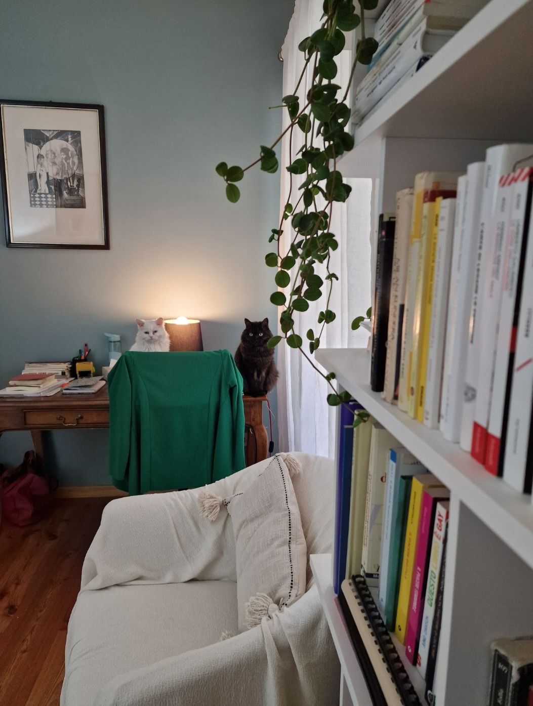 Maria Lucia Benvenuti-0