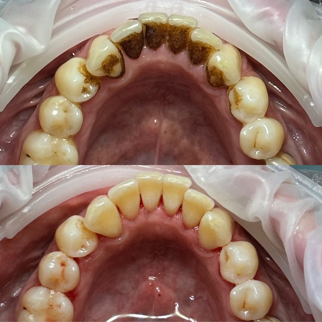 Małgorzata Olczak-2