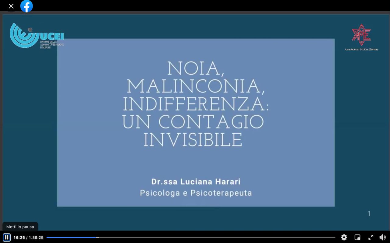 Luciana Harari-10