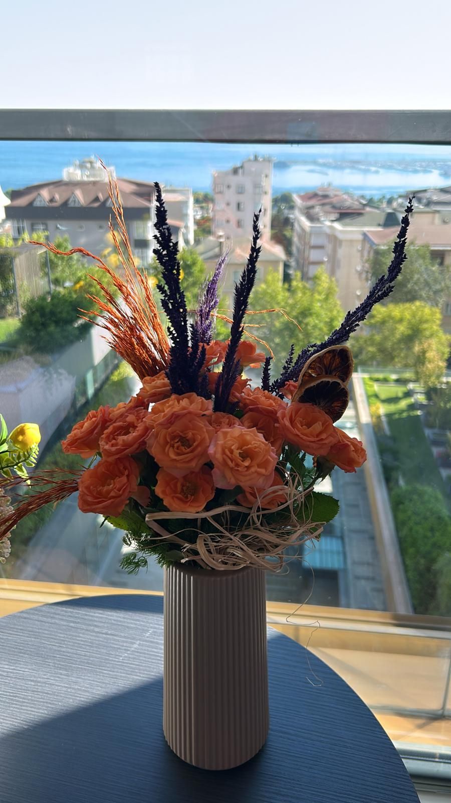 Aslıhan Tellioğlu-7