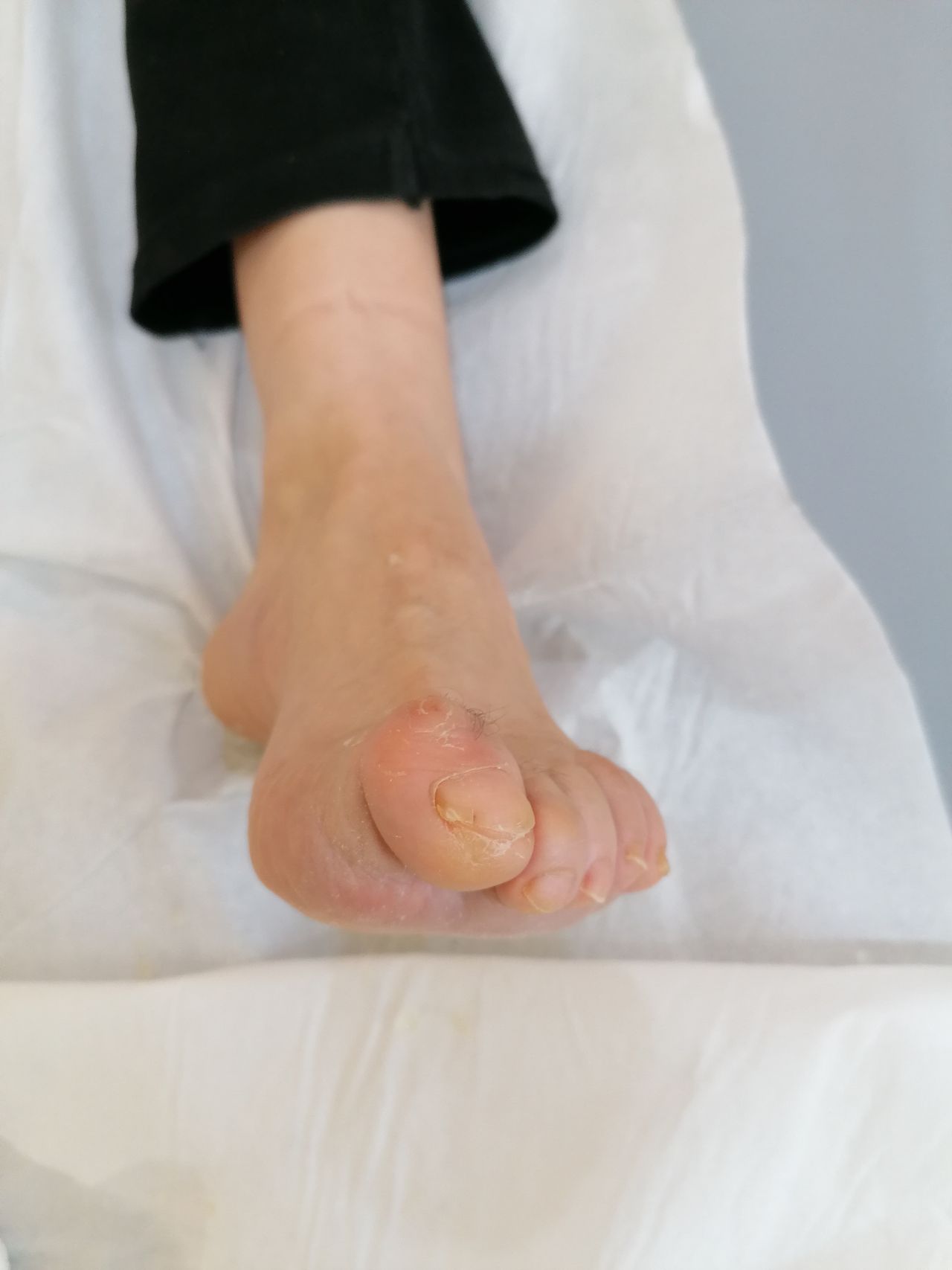 Kassandra Nicolosi-331