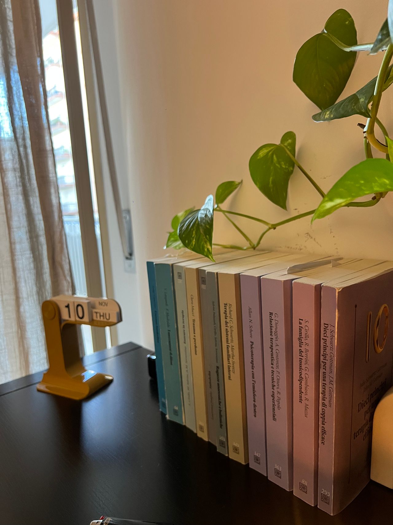 Silvia Teresa Caterino-5