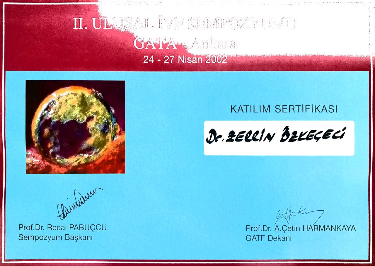 Zerrin Özkeçeci-20