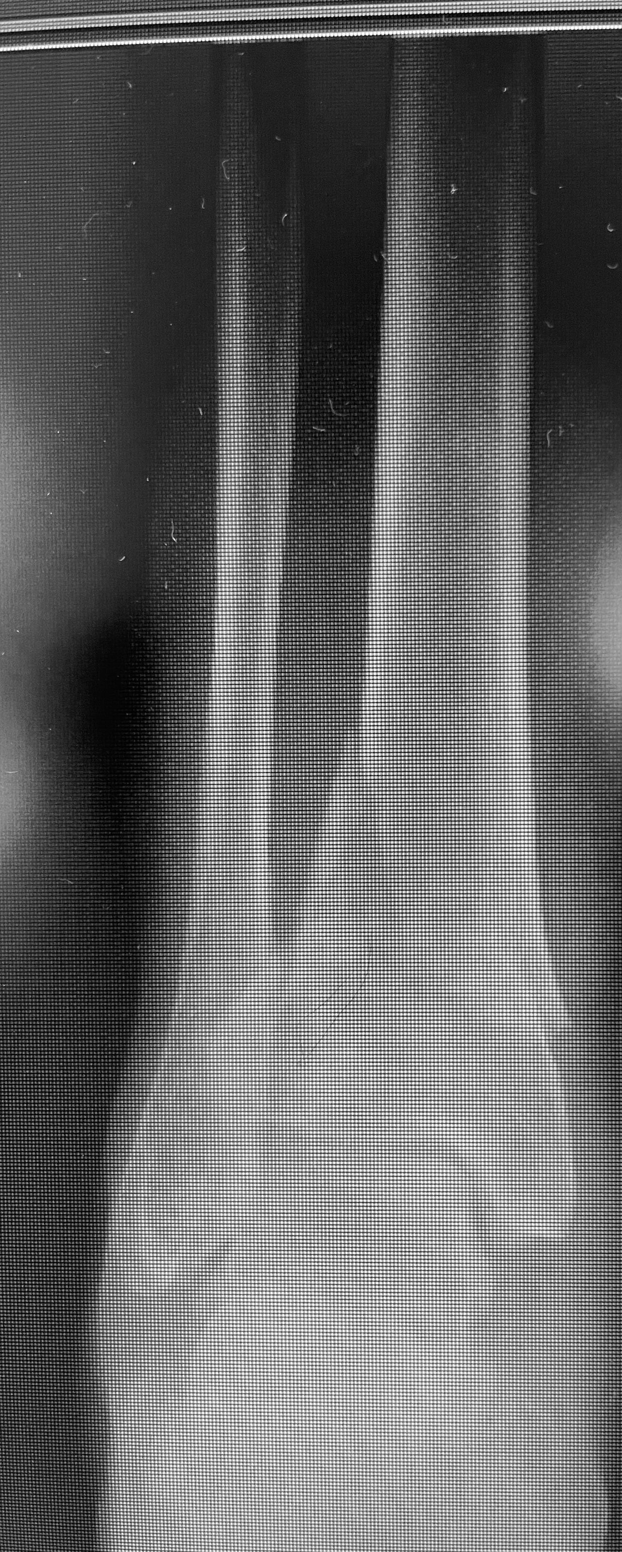 Francesco Palummieri-0