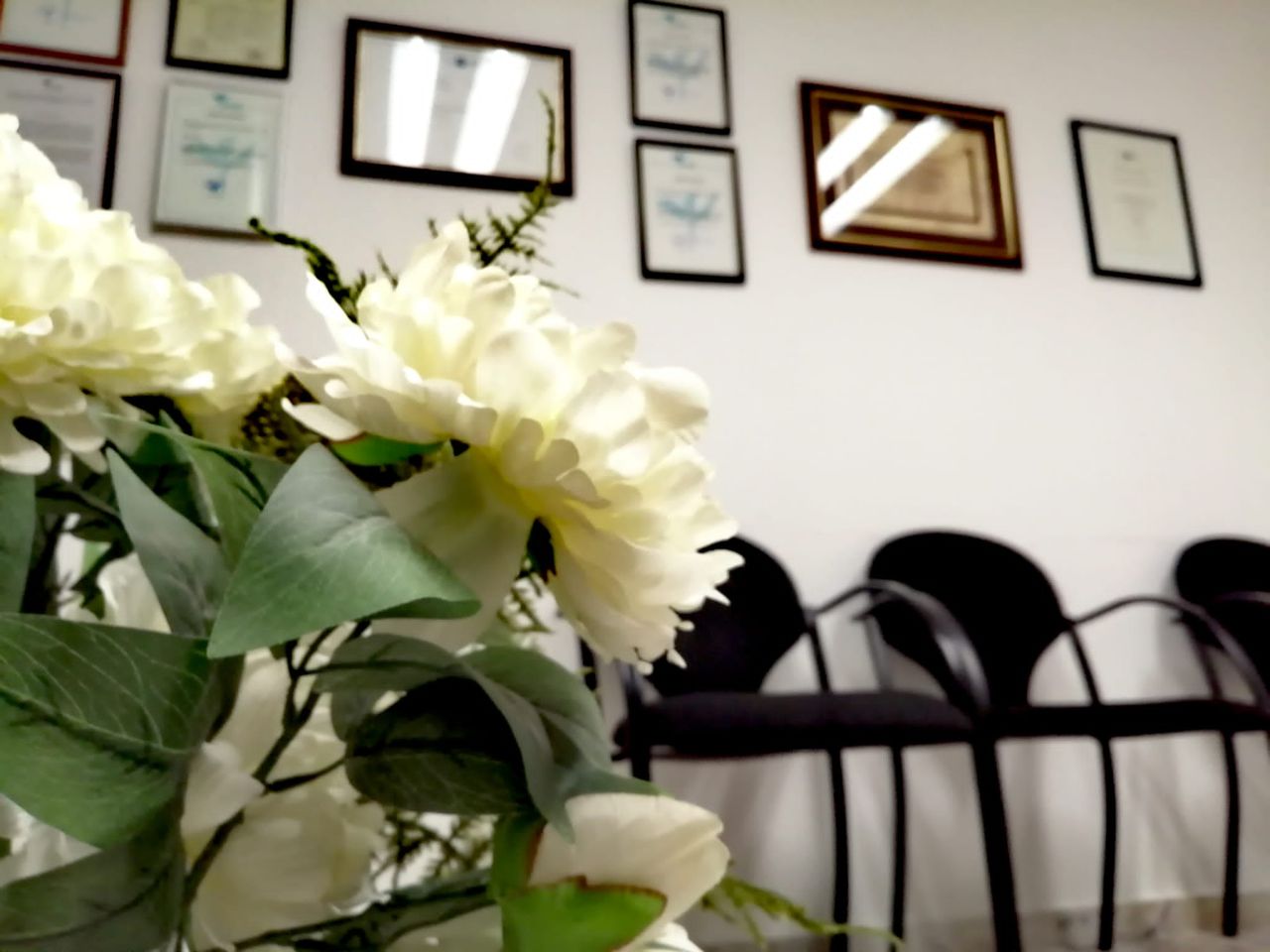 Gemma Echevarría Correa-9