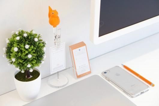 Małgorzata Leśniak-7