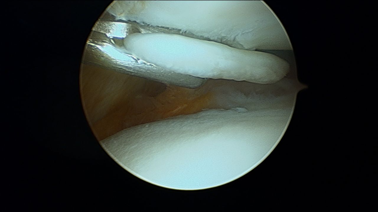 Eulogio Benito Martín-14