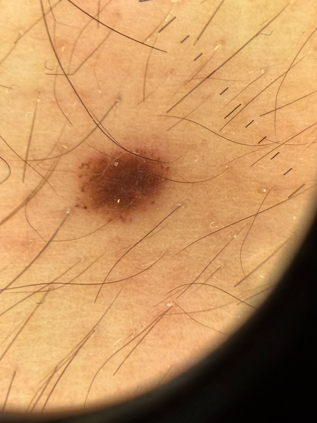 Francesca Paola Sasso-3