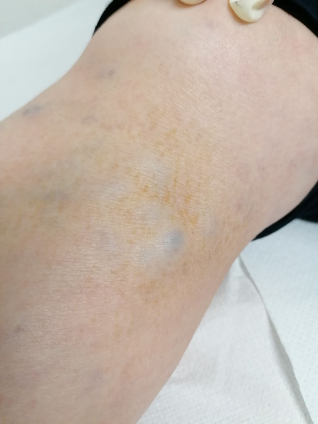 Kassandra Nicolosi-134