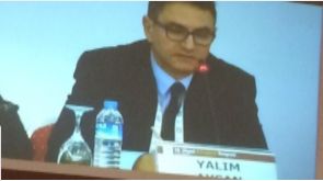 Ali Yalım Aysan-4