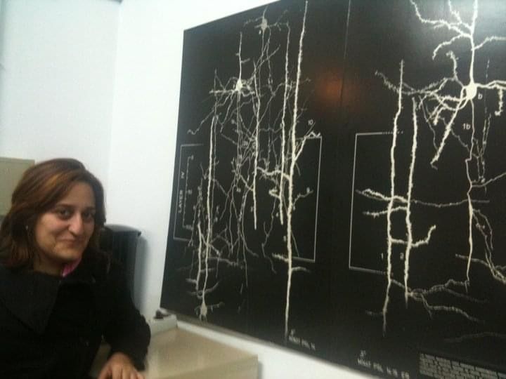 María Suárez Gómez-14