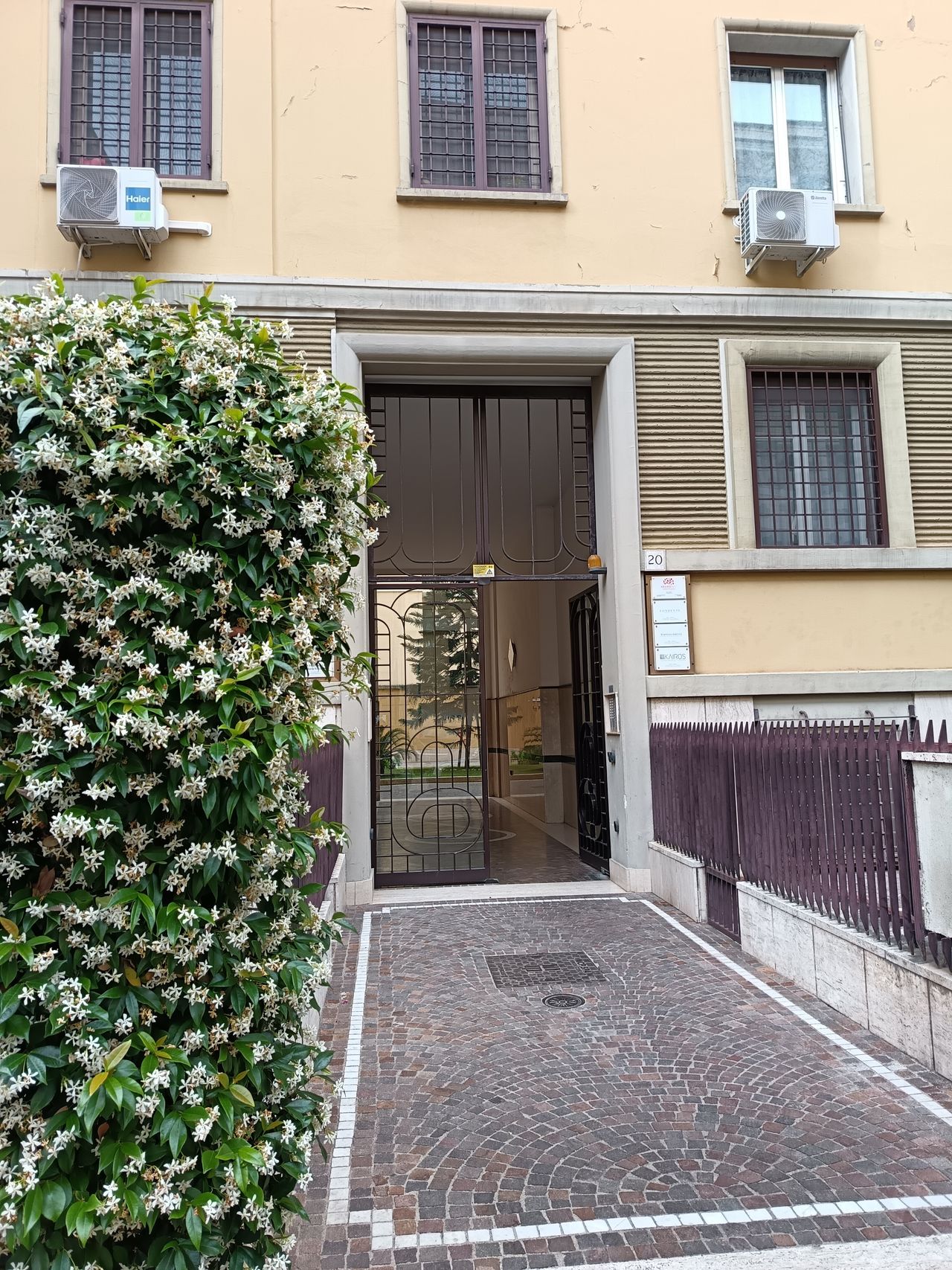 Elisabetta Luciani-1