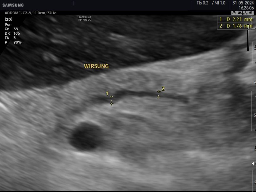 Gianluca Cisternino-12