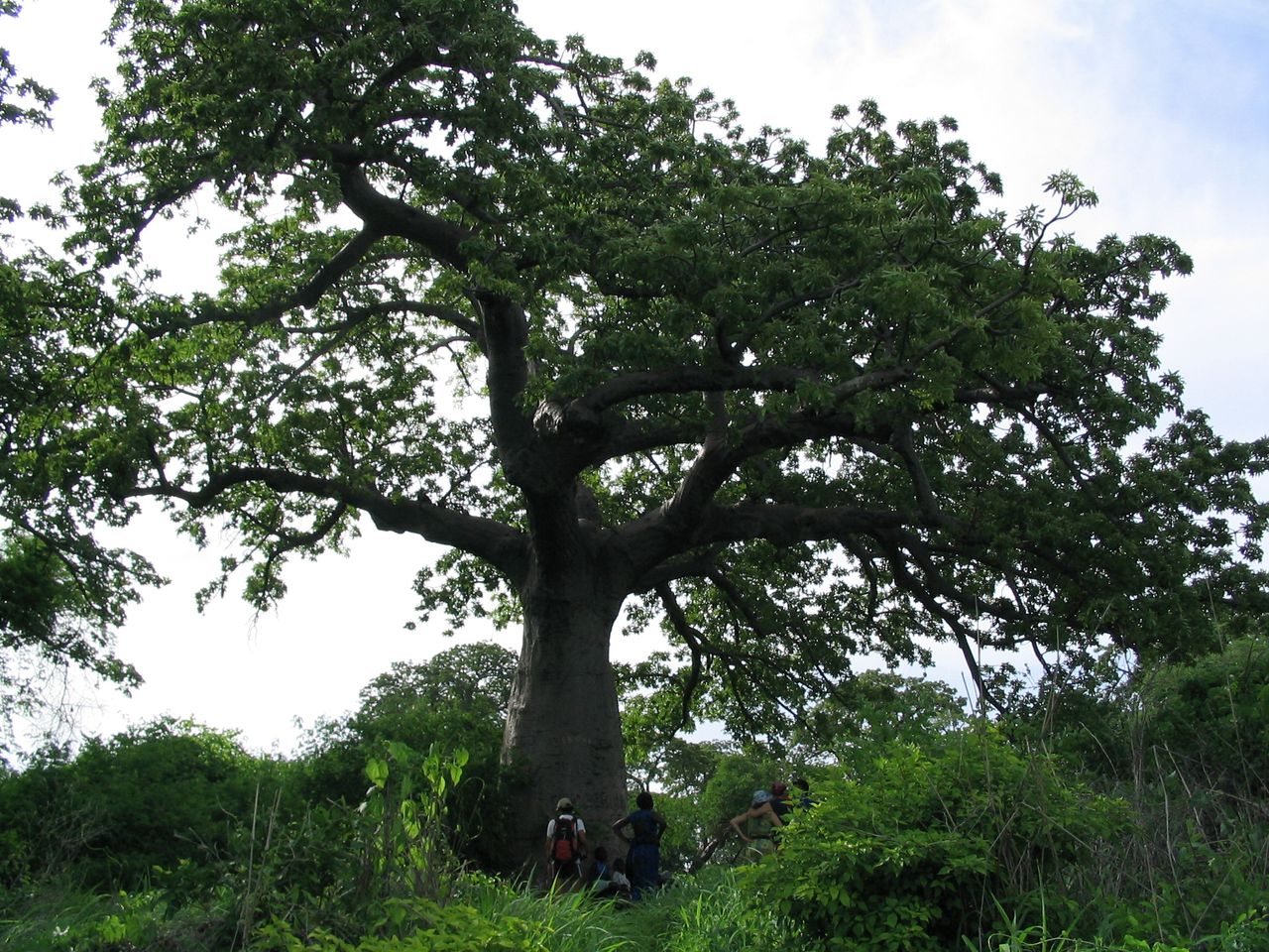 Margherita Toscano-6