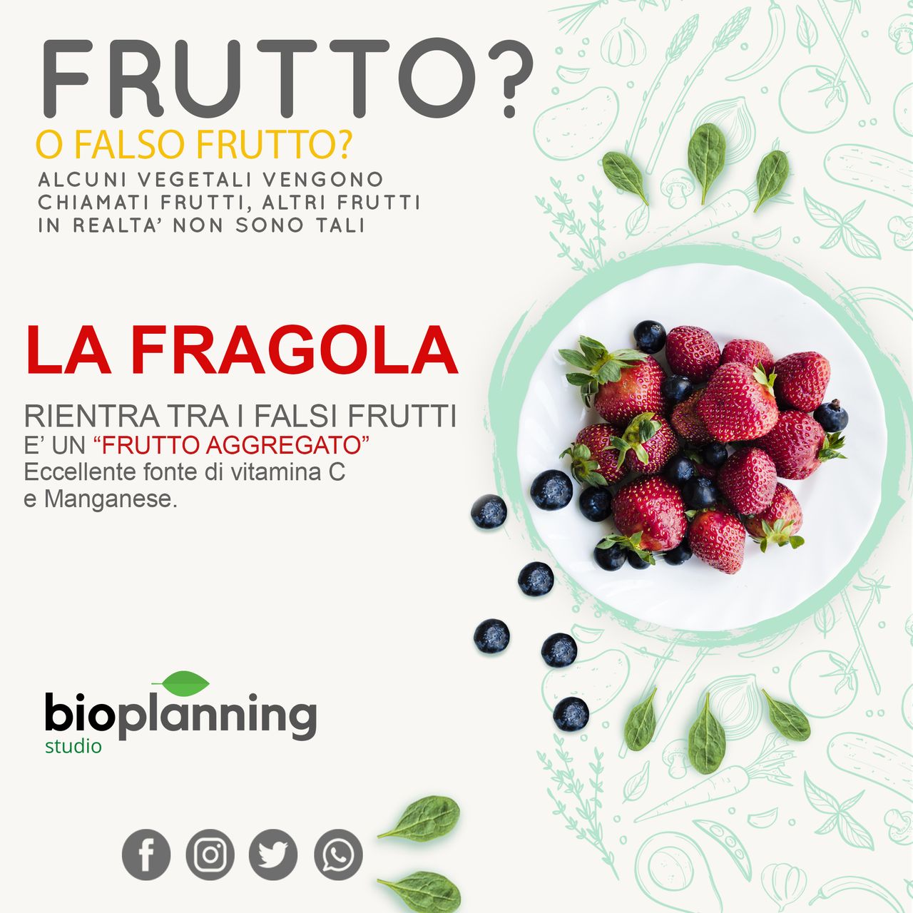 Gianluca Piromalli-1