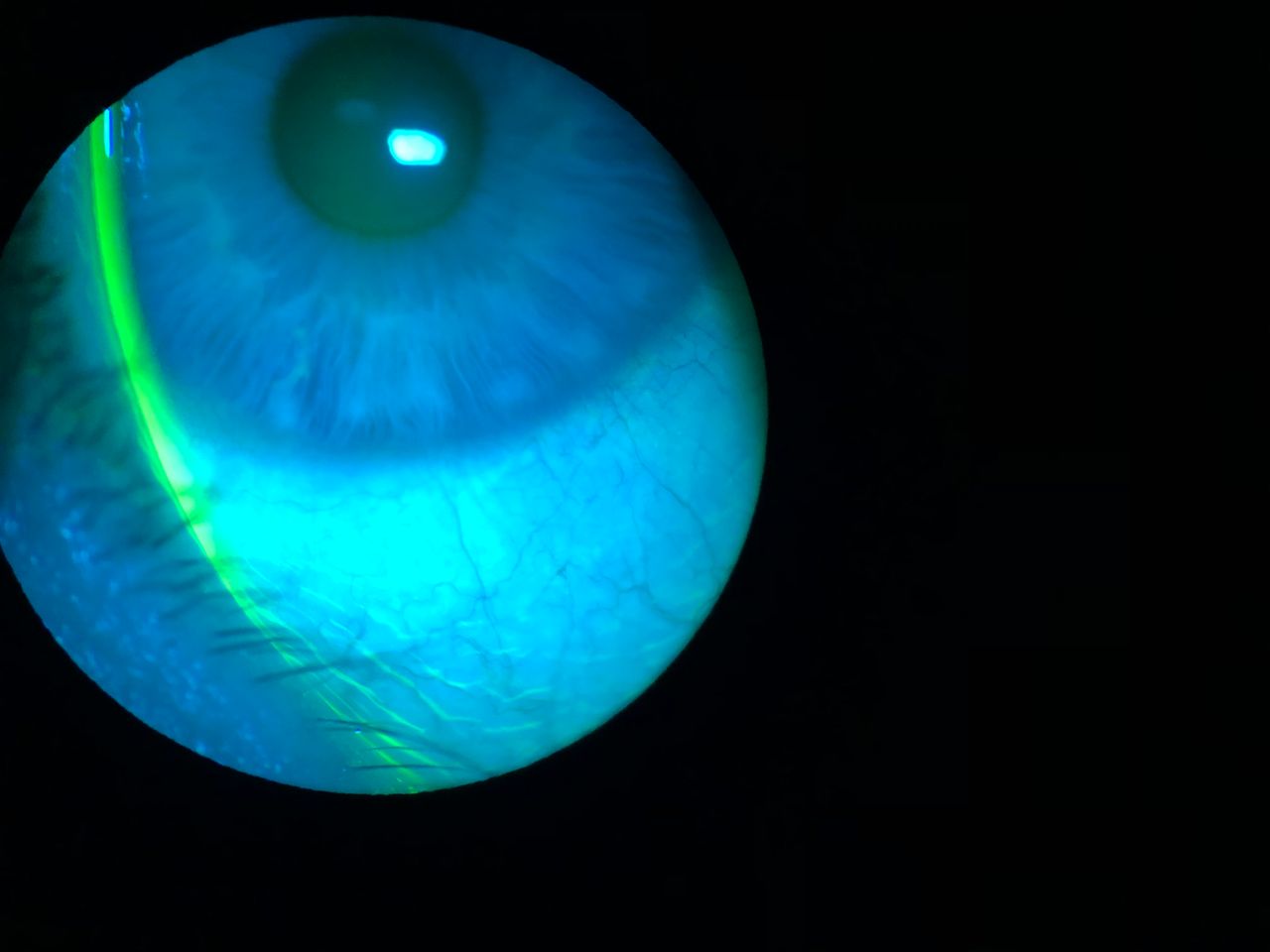 Arkadiusz Woźniak-5