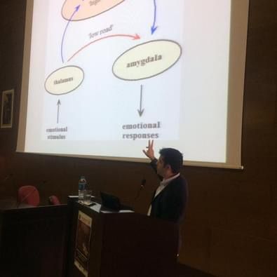 Serhat Nasıroğlu-33