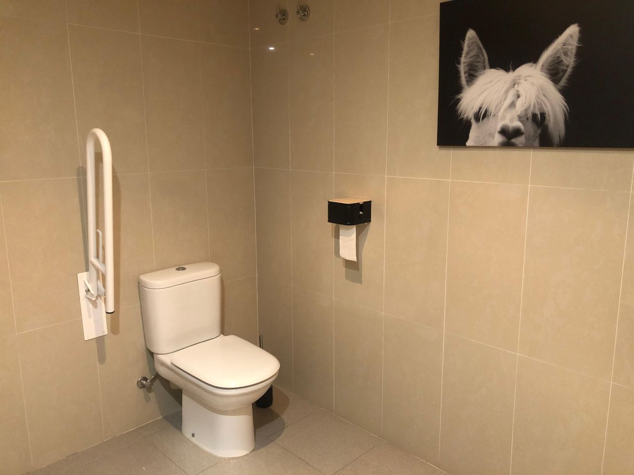 Laura Chisbert Victory-4