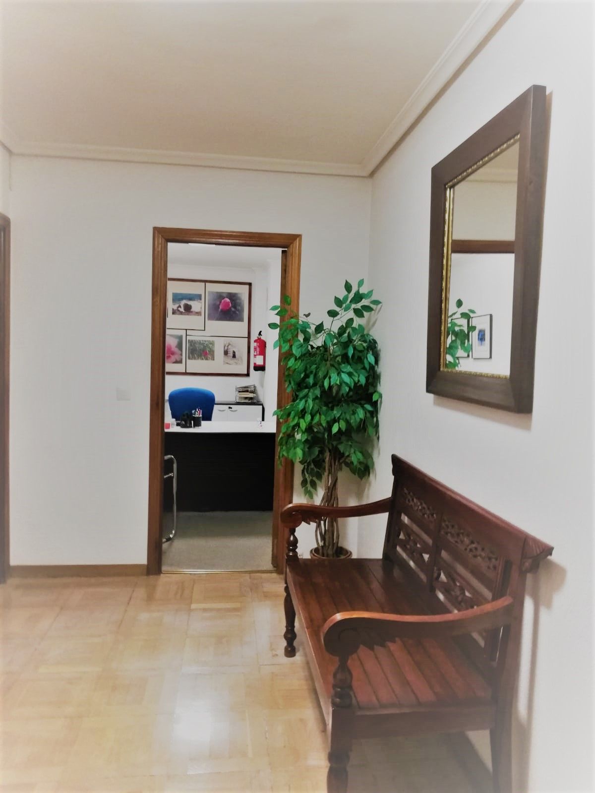 Antonio Alfonso Soto Loza-5