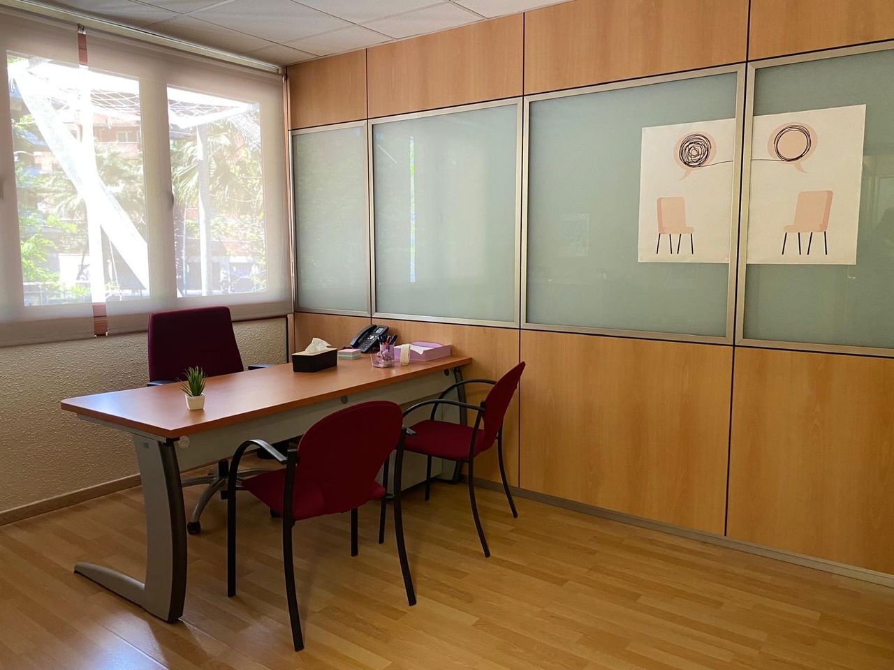 Elisabet Céspedes Borrisser-1