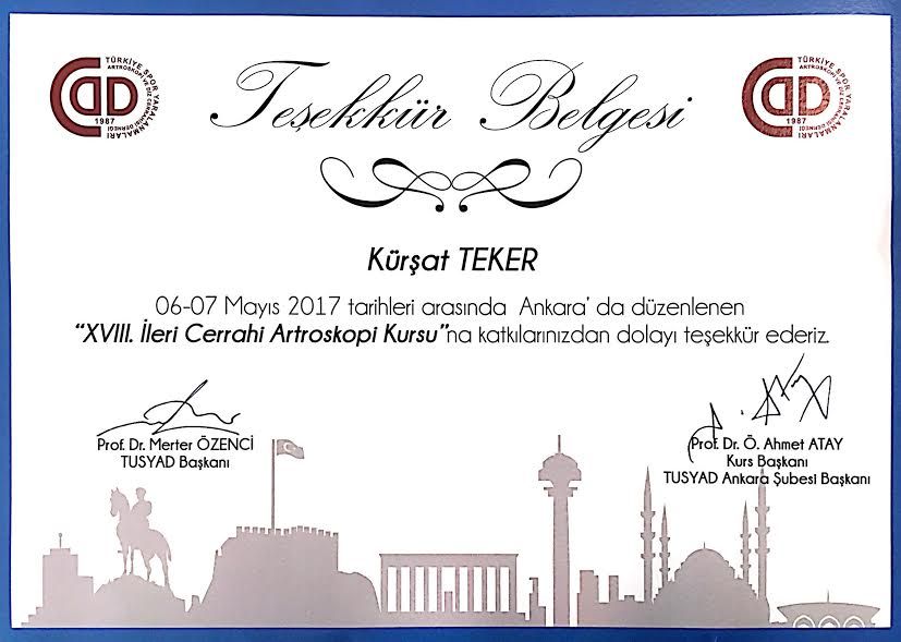 Kürşat Teker-2