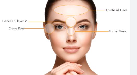 Havva Yıldız Seçkin-2