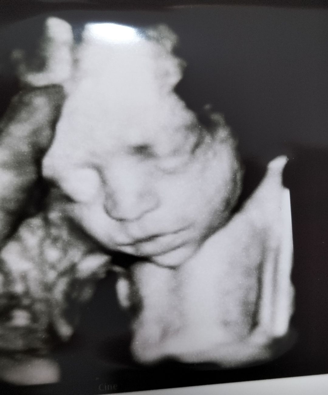 Andreina Vitellino-10