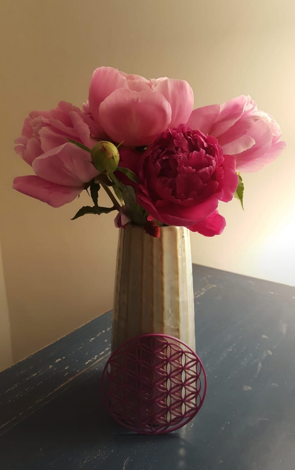 Oliwia Malwina Kos-11