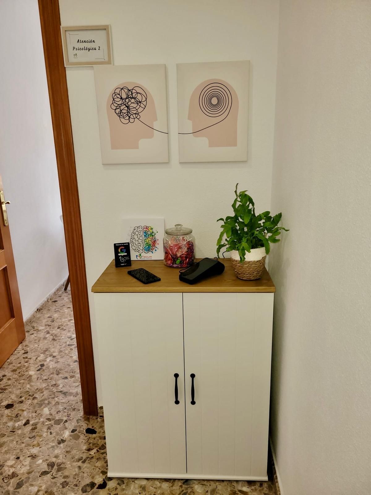 Carmina Llopis Chelet-6