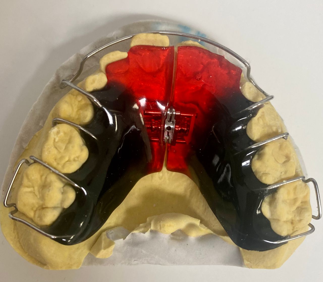 Paulina Joanna Połomka-8