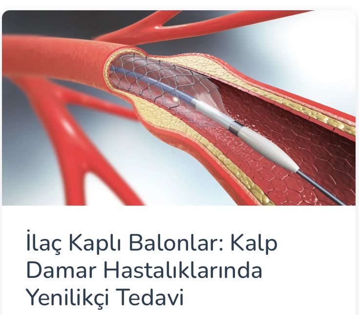 Assoc. Prof. Dr. Musa Çakıcı-1