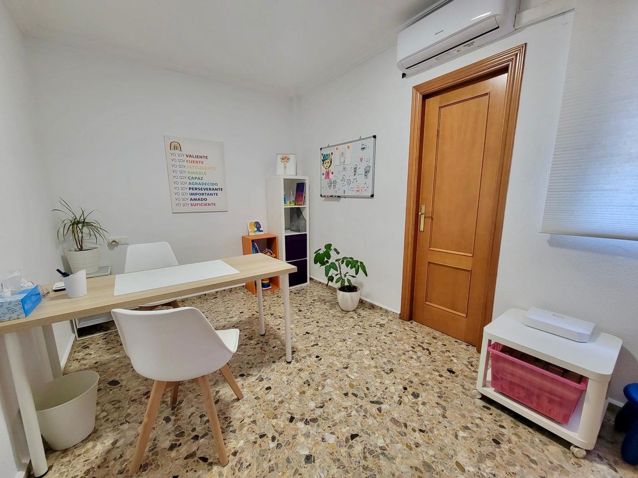 Carmina Llopis Chelet-3