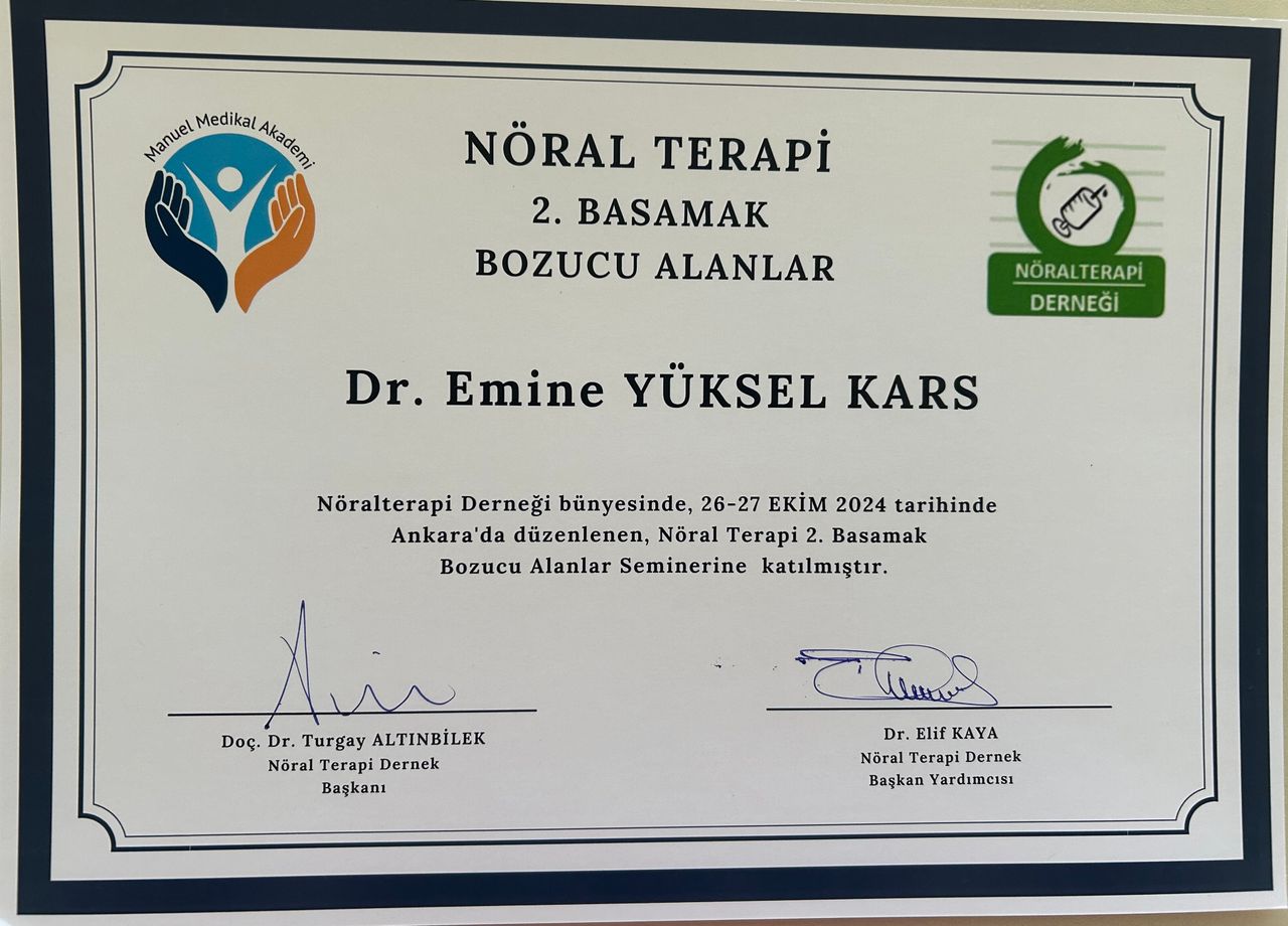 Emine Yüksel Kars-12