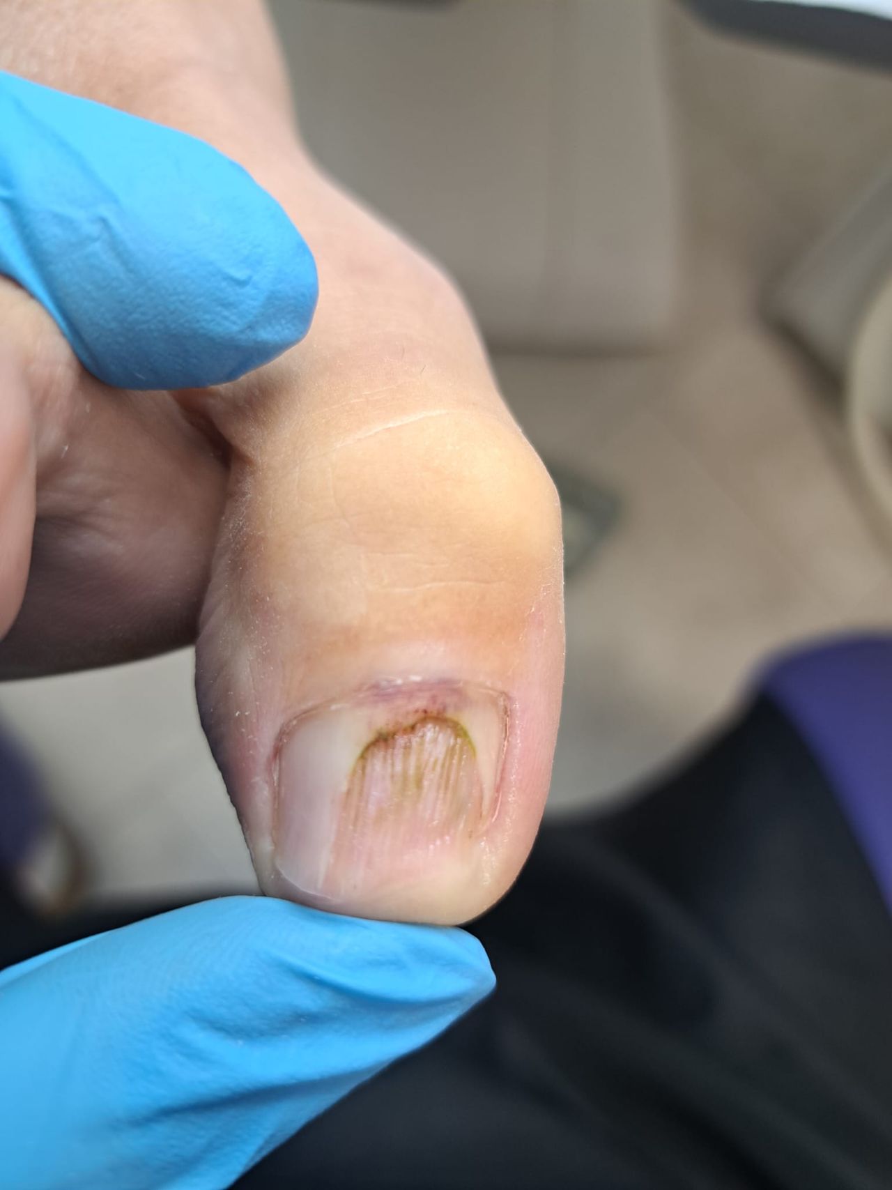 Monika Anhalt-Szawłowska-11