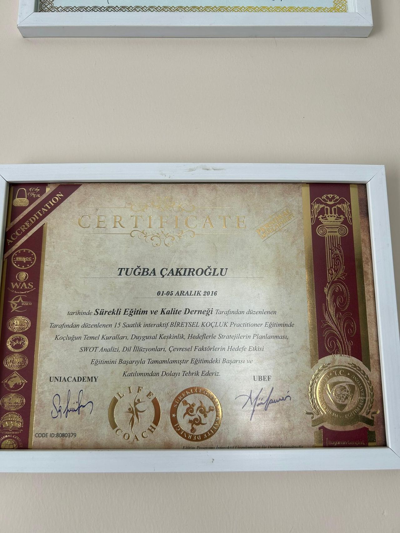 Tuğba Çakıroğlu-7