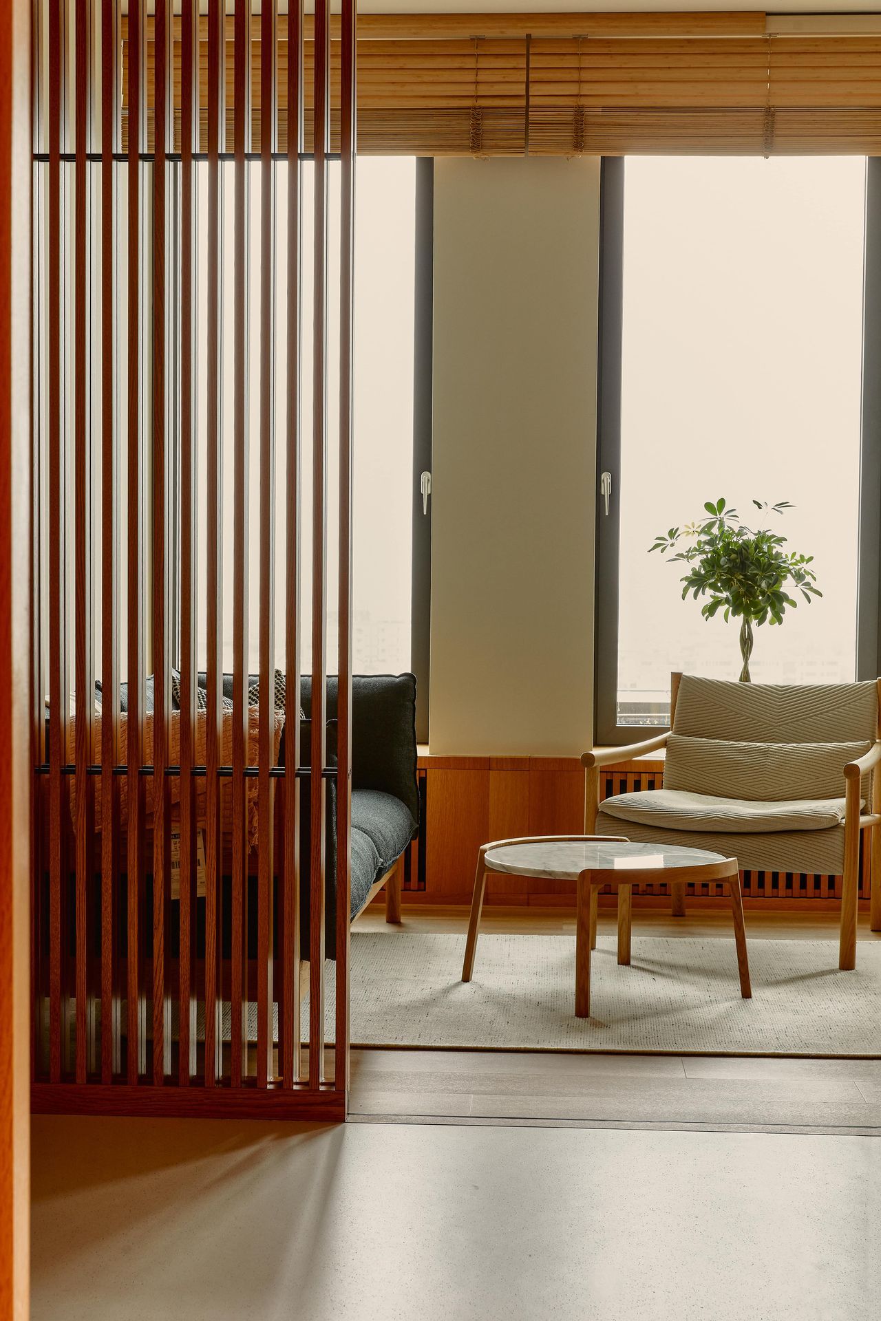 Alexandru Ardelean-6