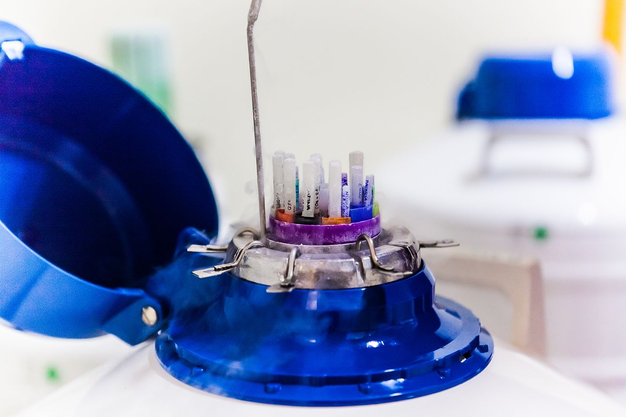 Paloma Medrano Martín-8