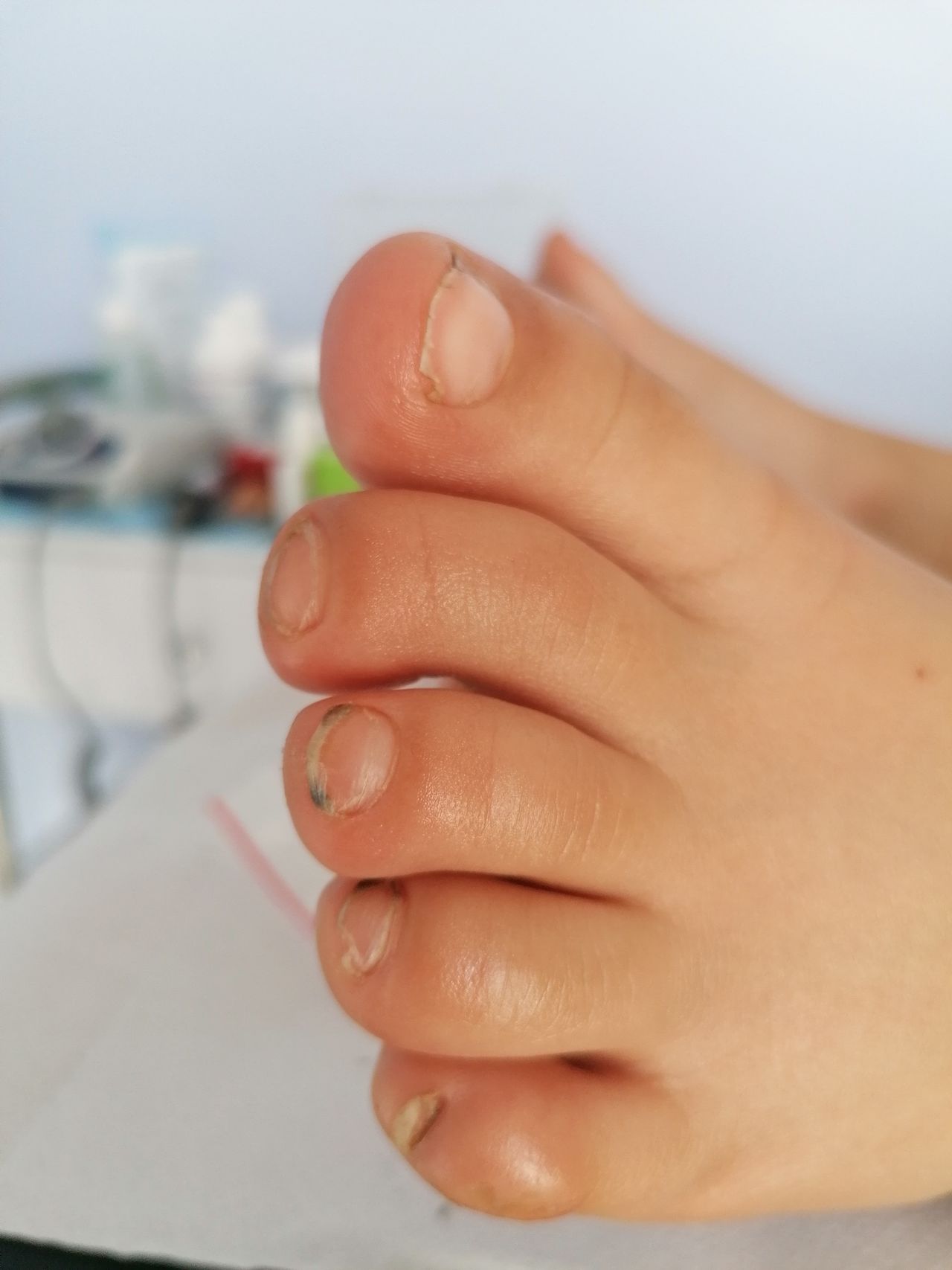 Kassandra Nicolosi-358