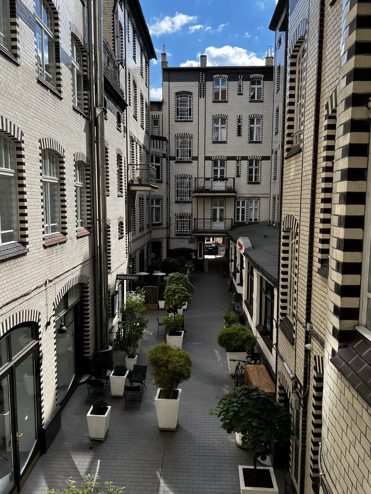 Sylwia Paluszkiewicz-9