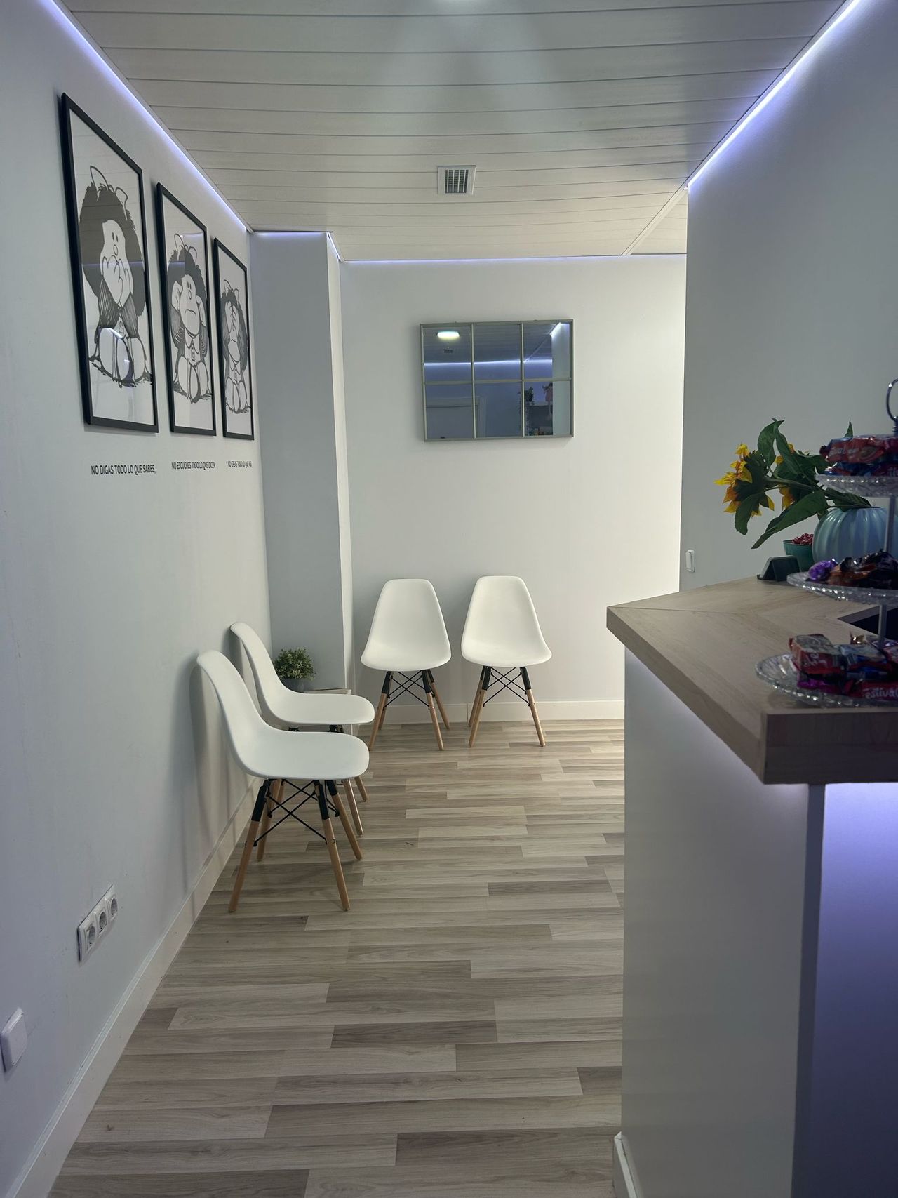 Sara Firgaira Fernández-4