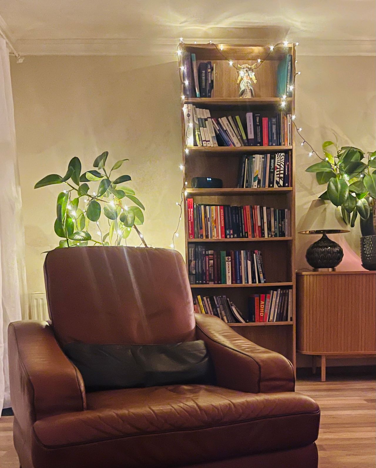 Agnieszka  Wójcik-0