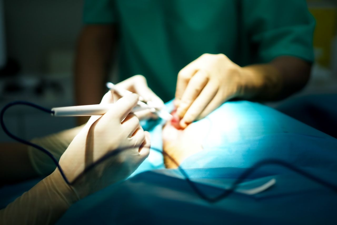 Celia Sánchez Gallego-Albertos-9