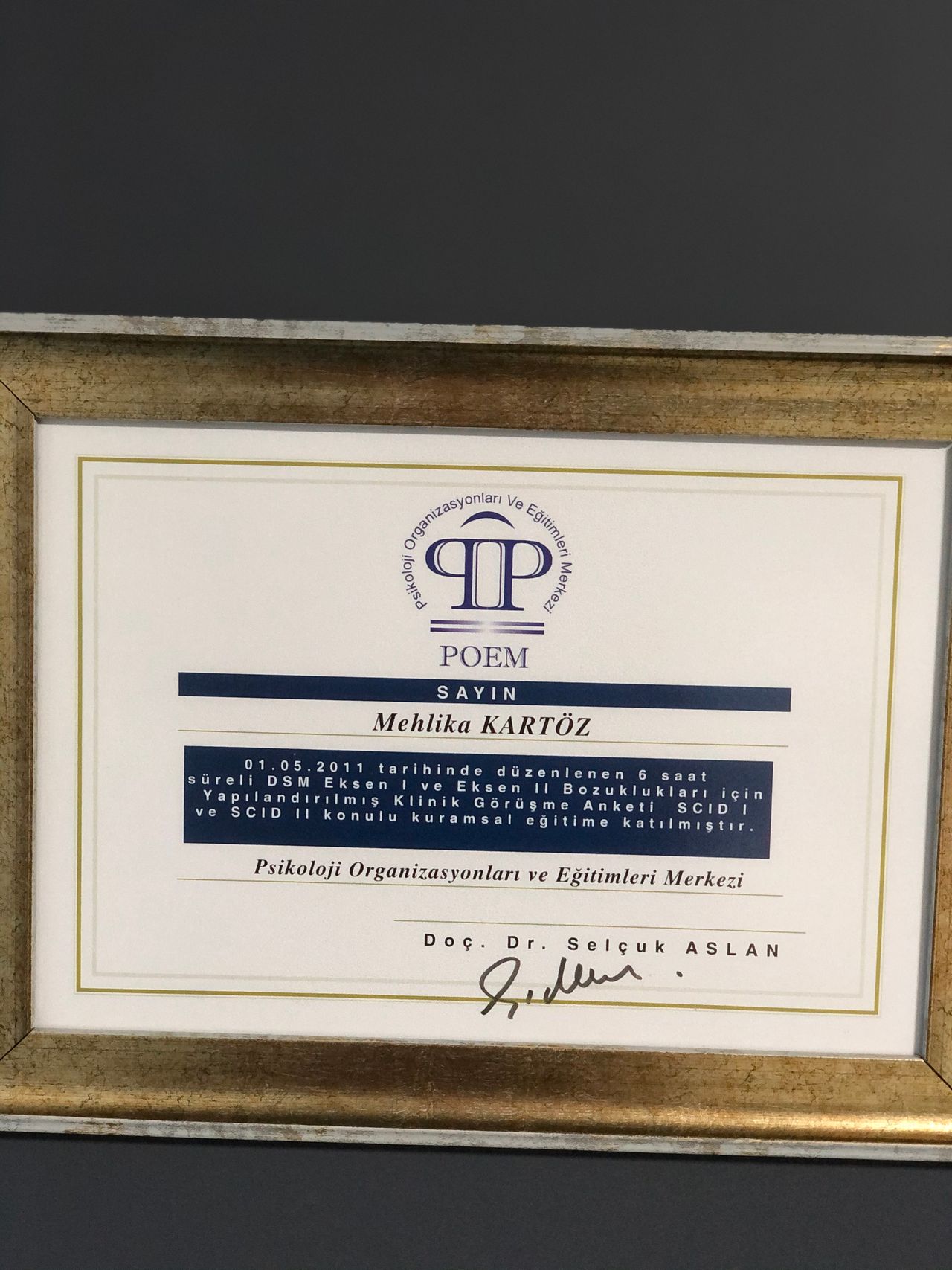 Mehlika Kartöz Balcı-4