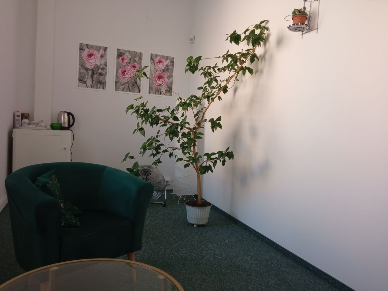 Zuzanna Butkiewicz-10