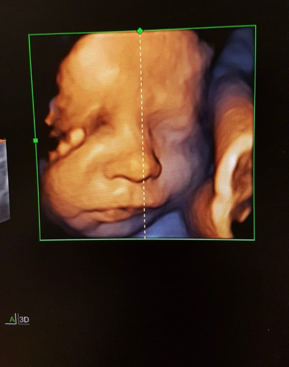 Domenico D'assisi-26