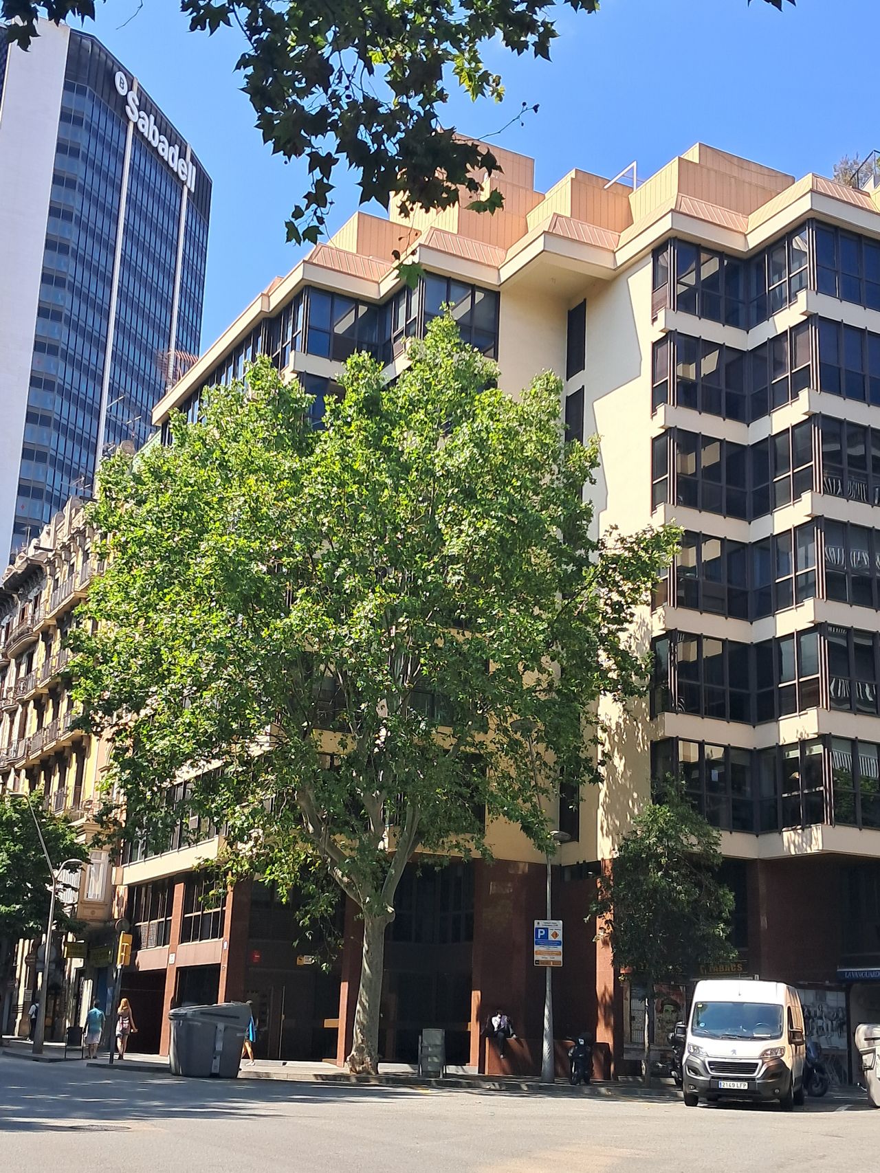 Maria Empar Pérez Pérez-0